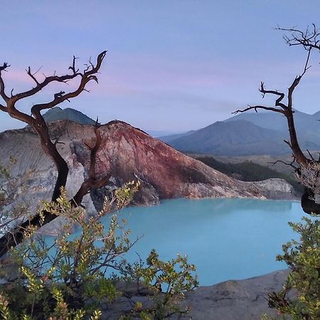 Nio Homestay And Tour Licin Eksteriør bilde